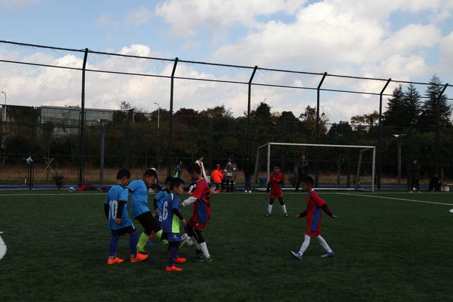 赵继伟16+9+9弗格34分 辽宁客胜新疆总分3-0